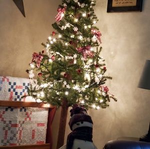 Meet your Posher, Traci